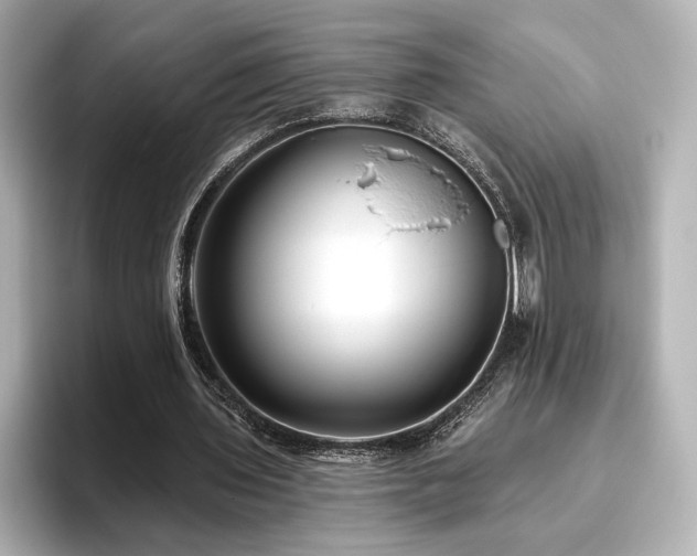 X0000096450435200801241422