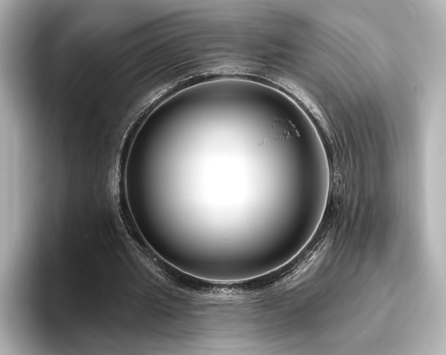 X0000096450437200801241422