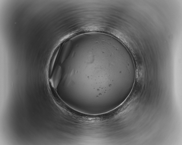 X0000096450438200801241422