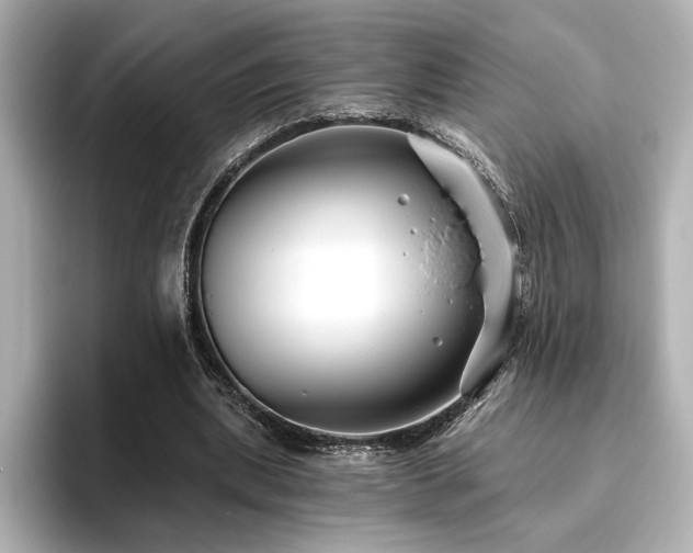 X0000096450439200801241422