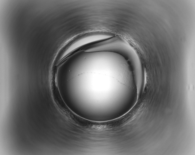 X0000096450440200801241422