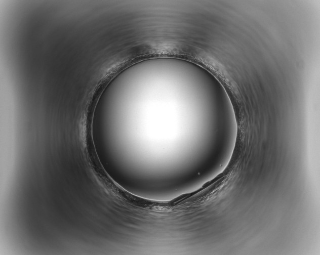 X0000096450442200801241422
