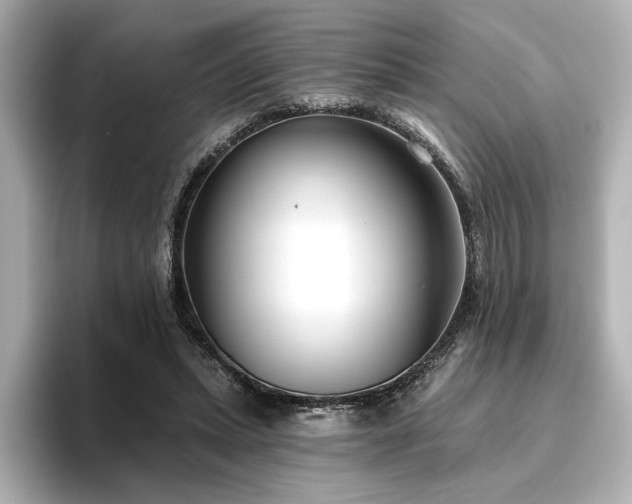 X0000096450447200801241422
