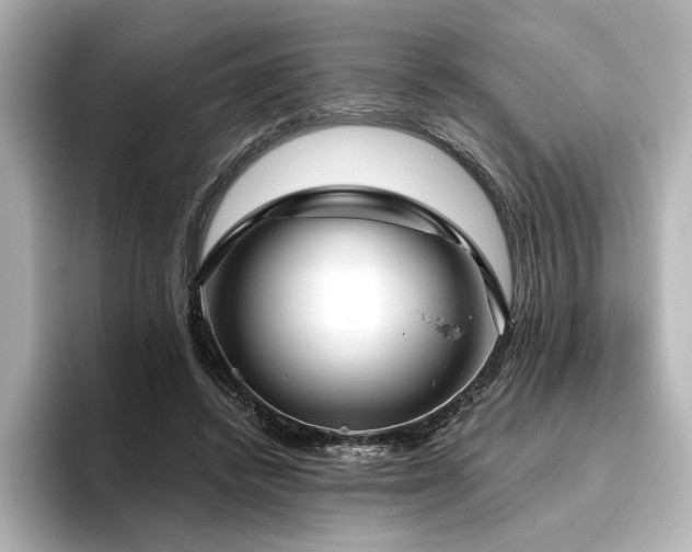 X0000096450448200801241422