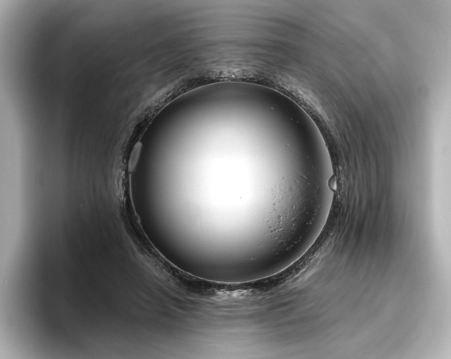 X0000096450450200801241422
