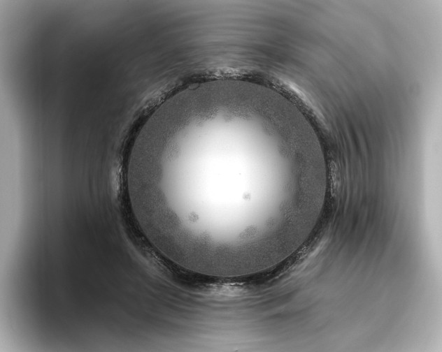 X0000096450451200801241422
