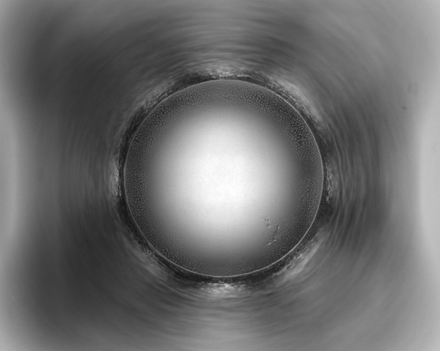 X0000096450453200801241422