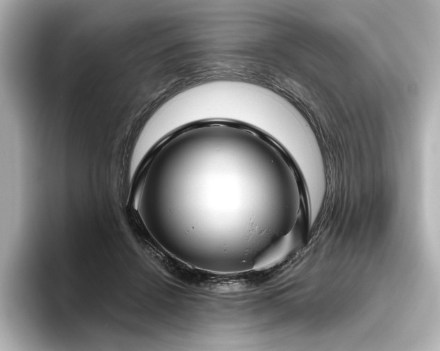 X0000096450456200801241422