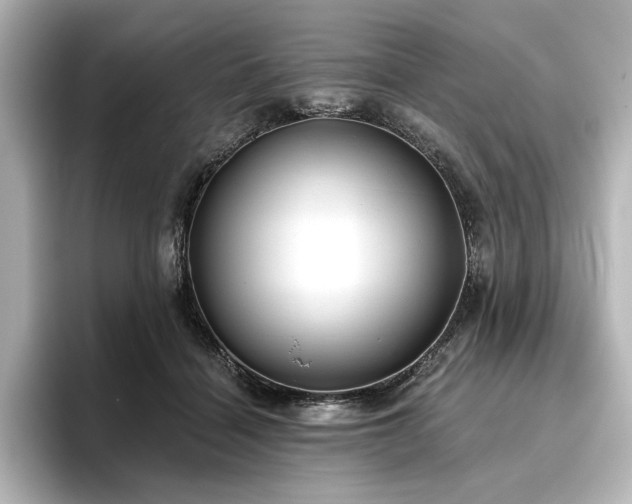 X0000096450460200801241422