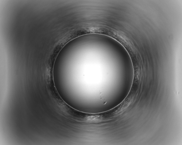 X0000096450461200801241422