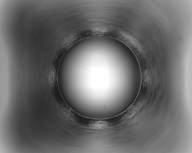 X0000096450463200801241422
