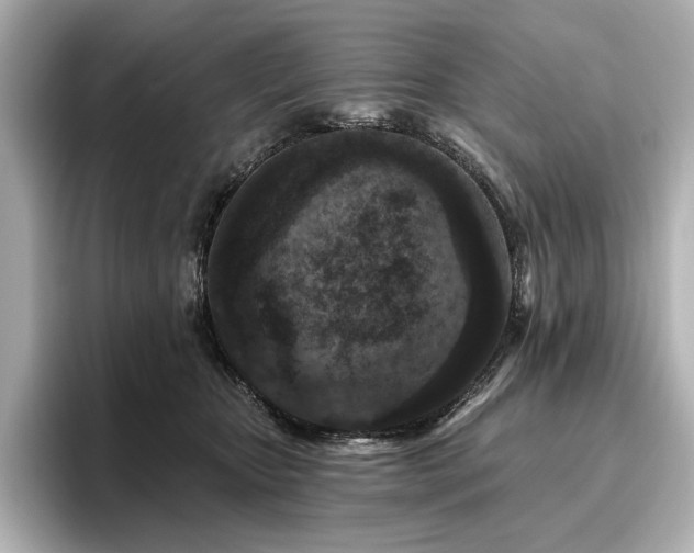 X0000096450467200801241422