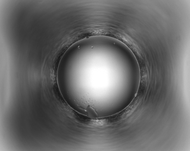 X0000096450469200801241422