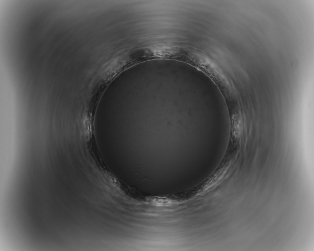 X0000096450471200801241422