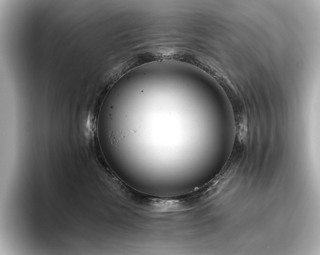 X0000096450476200801241422
