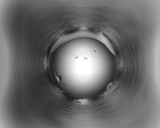 X0000096450478200801241422