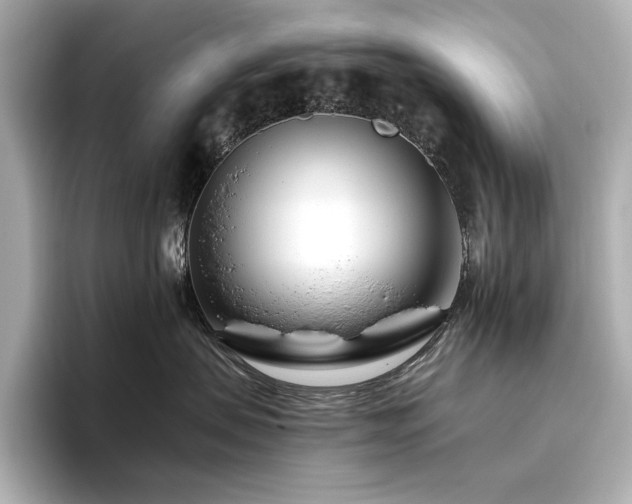 X0000096450479200801241422