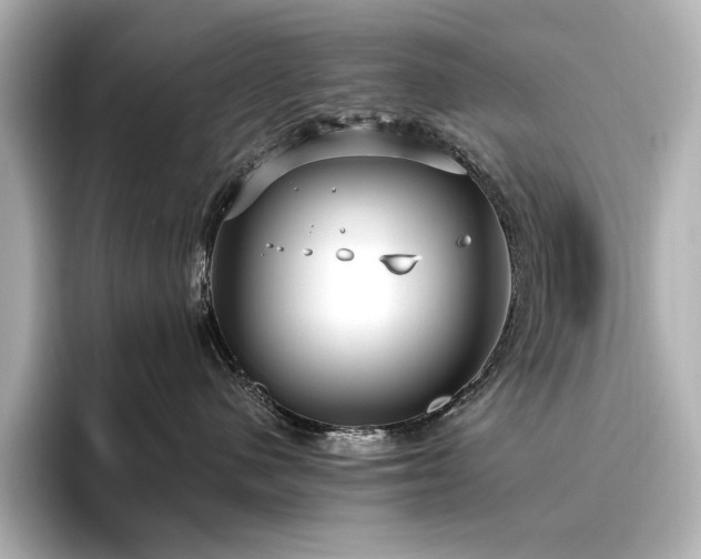 X0000096450480200801241422