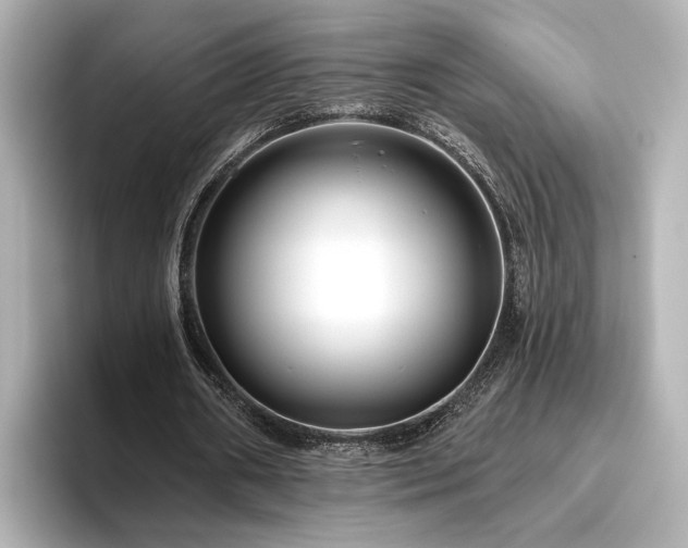 X0000096450482200801241422