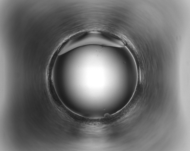 X0000096450483200801241421