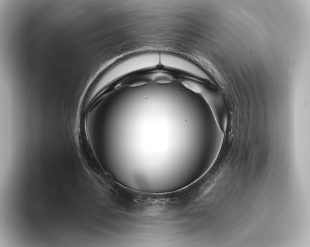 X0000096450484200801241421