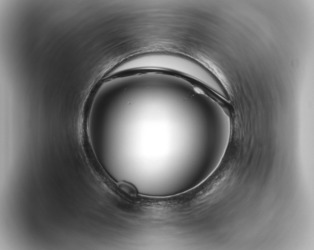 X0000096450485200801241421