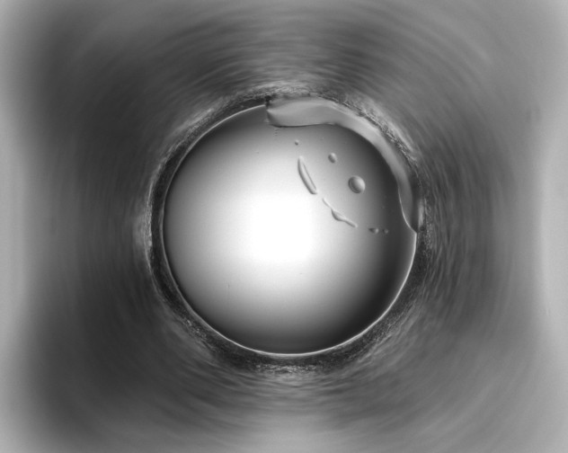 X0000096450486200801241421