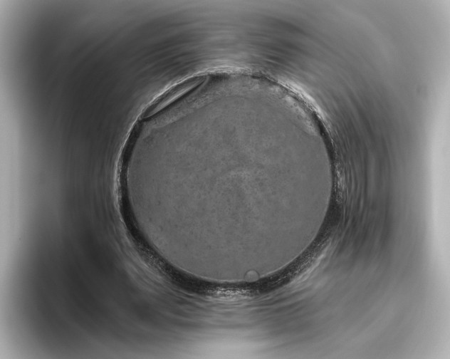 X0000096450487200801241421