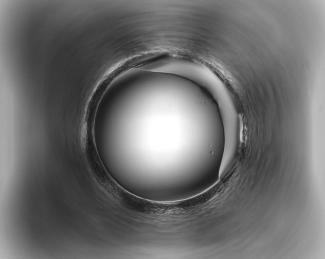 X0000096450488200801241421