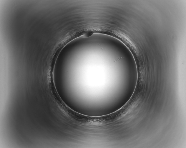 X0000096450489200801241421