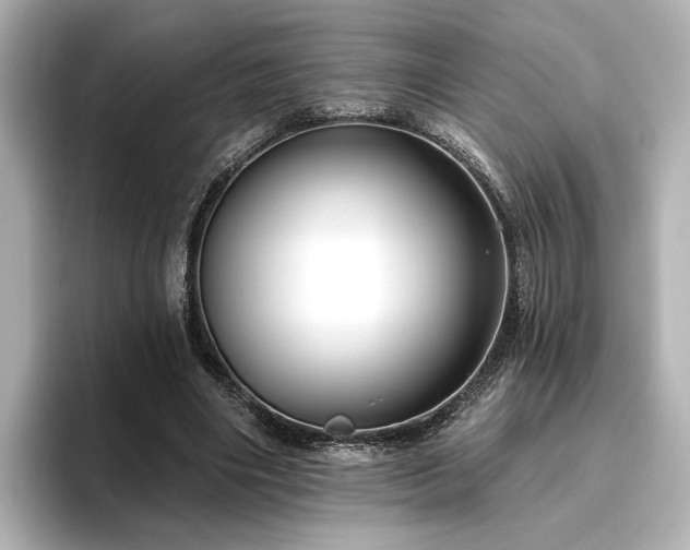 X0000096450490200801241421