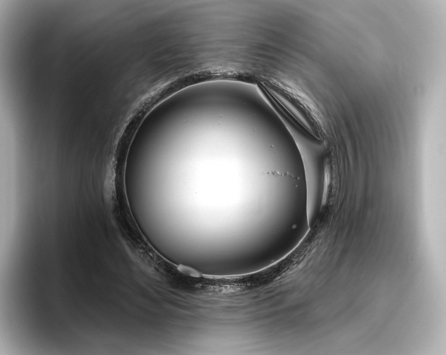 X0000096450492200801241421