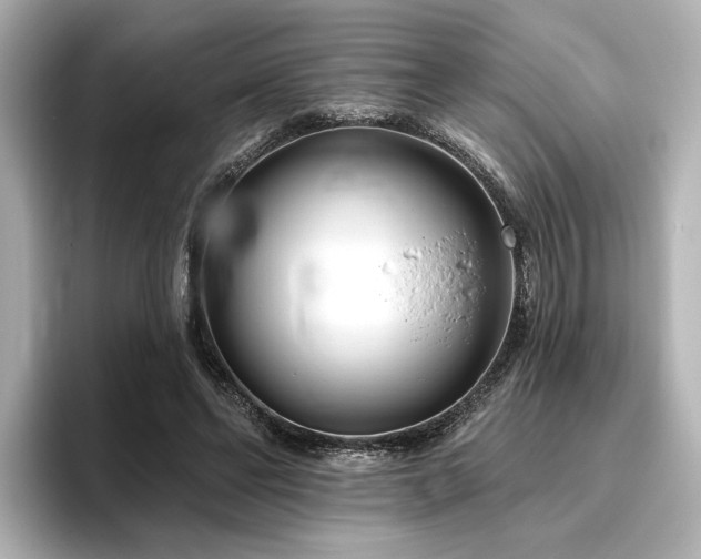 X0000096450494200801241421