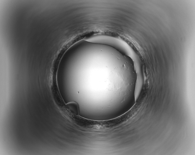 X0000096450496200801241421