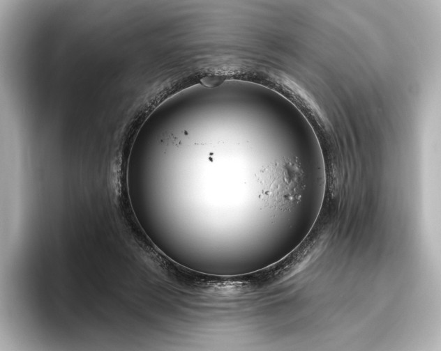 X0000096450497200801241421