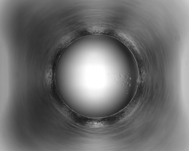 X0000096450498200801241421