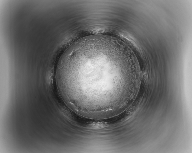 X0000096450499200801241421