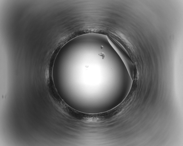 X0000096450500200801241421
