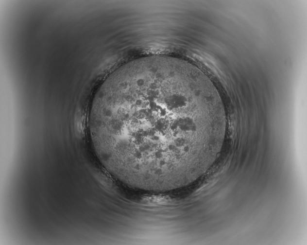 X0000096450503200801241421
