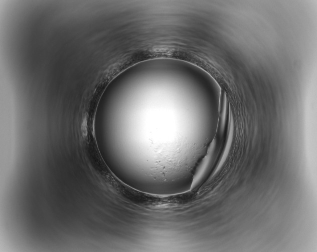 X0000096450504200801241421