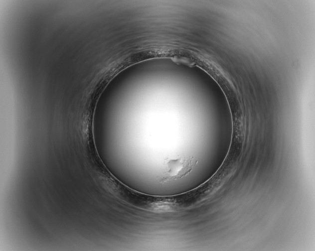 X0000096450505200801241421