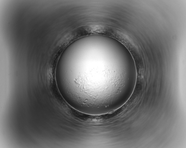 X0000096450506200801241421