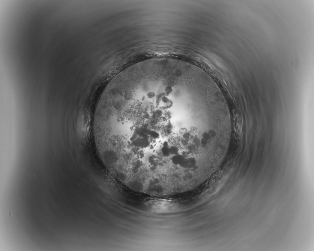 X0000096450507200801241421