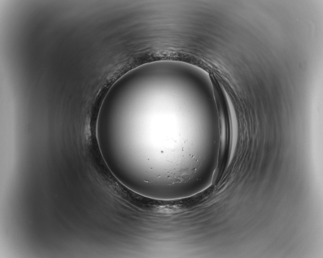 X0000096450508200801241421