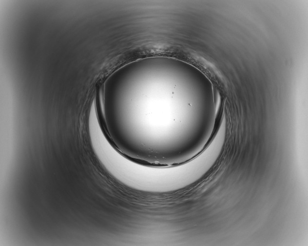 X0000096450509200801241421