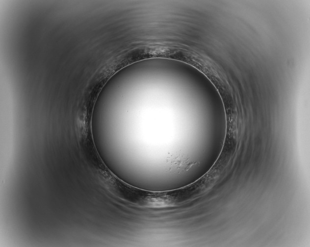 X0000096450510200801241421