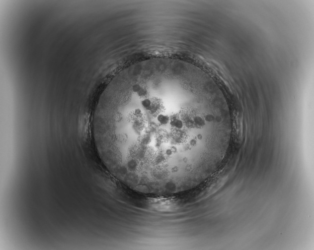X0000096450511200801241421