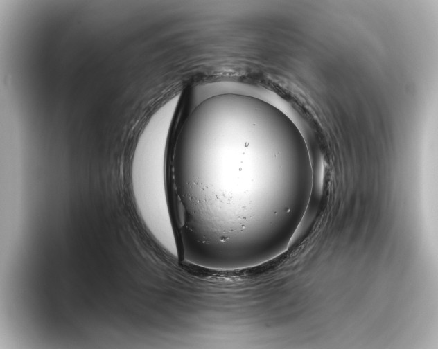 X0000096450512200801241421