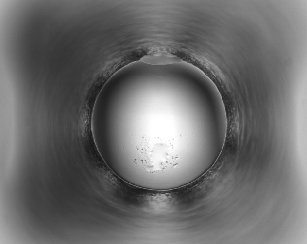 X0000096450513200801241421
