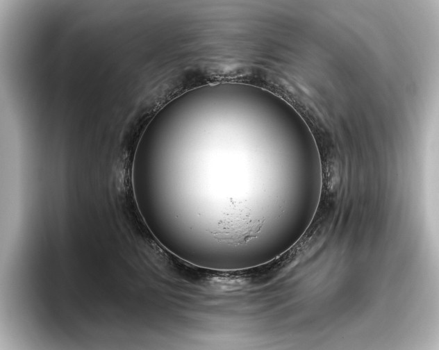 X0000096450515200801241421